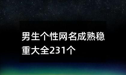 昵称大全男成熟稳重,稳重一点的网名 男图4