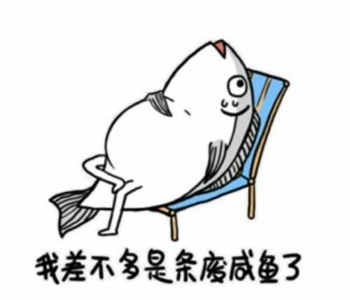 咸鱼心态什么意思,失去追女孩的动力图4