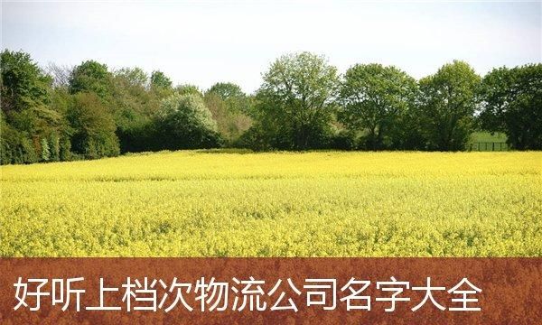 物流公司取名字大全大气,物流公司名称起名大全洋气图2