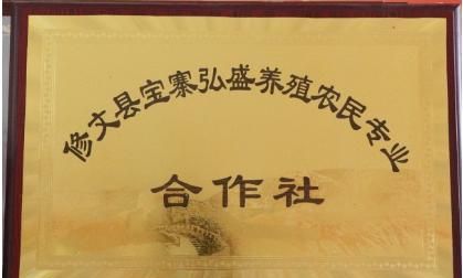 养殖合作社起名大全,养殖场起名大全吉祥好听图1