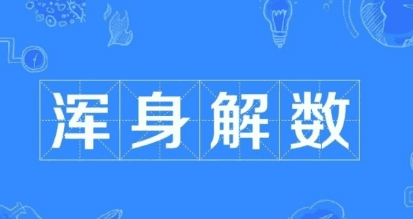 浑身解数,浑身解数的意思解释图5