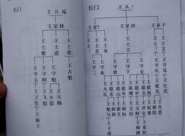 王家家谱全部的字辈,三槐堂王氏家谱字辈查询图3