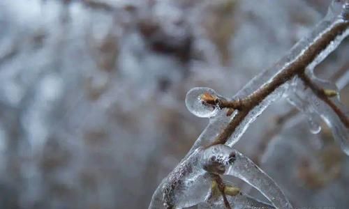 冻雨的形成条件有哪些,冻雨形成的特殊条件图4