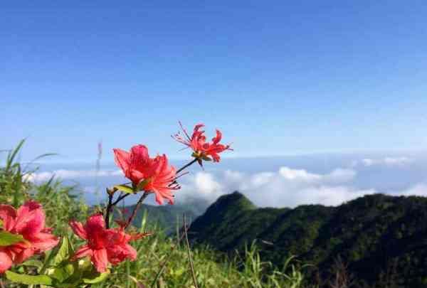 武功山什么季节去最好,什么时候上武功山最好图5