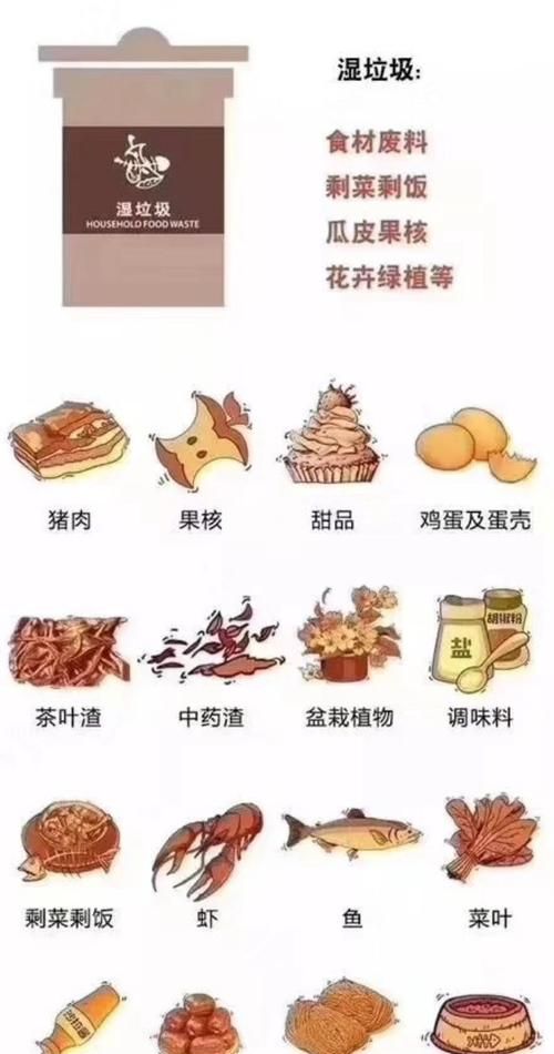 剩饭剩菜属于什么垃圾种类,剩饭是什么垃圾分类