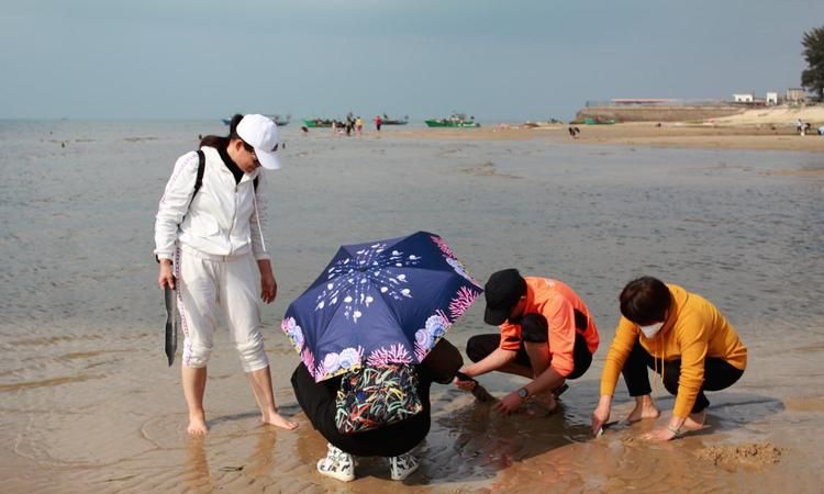 在海滩上怎么挖螺,海边挖的花甲怎么吐沙图3