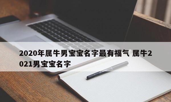 男孩名字大全202属牛免费,二零二一年男孩属牛起名图2