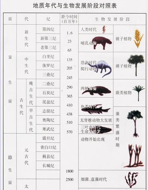 地质年代怎么样划分,地质年代具体的划分图2