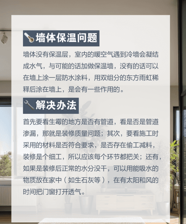 墙壁潮湿发霉怎么办,墙面发霉怎么彻底解决图4