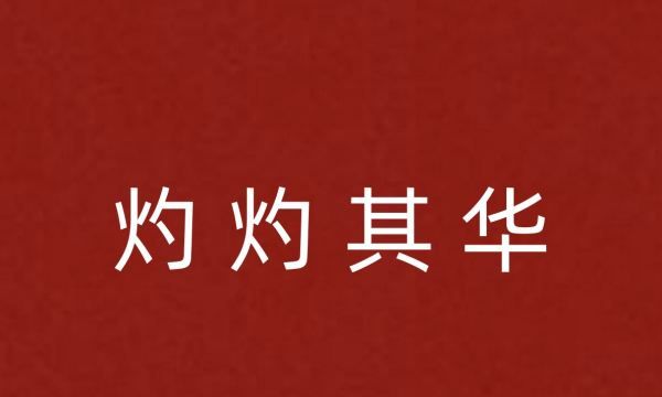 出自诗经的队伍名,出自诗经的队名和口号是图1