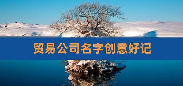 贸易公司名字创意好记,贸易公司起什么名字比较好图4