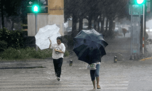 梅雨属于什么降雨类型,江南地区的梅雨属于哪种类型的季节图2