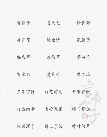 森系网名两个字,仙女ins森系网名2字带符号图2