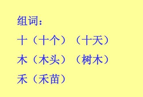 禾的组词一年级,禾组词一年级 禾组词如何组词