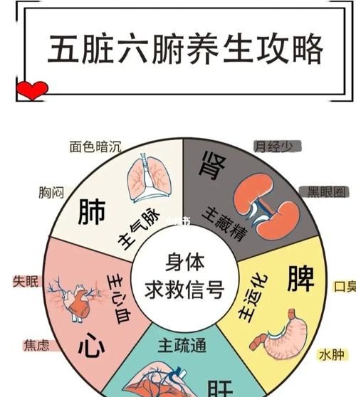 五脏对应的五官是什么,五官是指哪五个图4