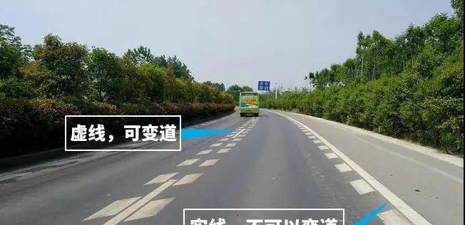 高速双虚线什么意思,马路双虚线代表什么图4