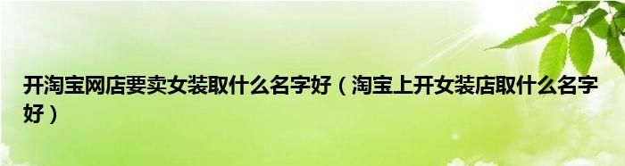 网店取名字比较旺财,开网店一般取什么名字 好听又旺财图7