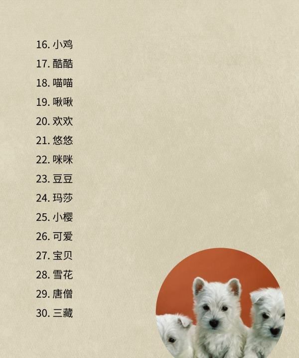 狗狗名字大全一对,00个好听到爆的狗狗名字图3