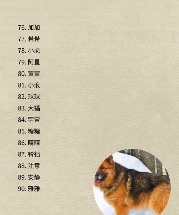 狗狗名字大全一对,00个好听到爆的狗狗名字图7