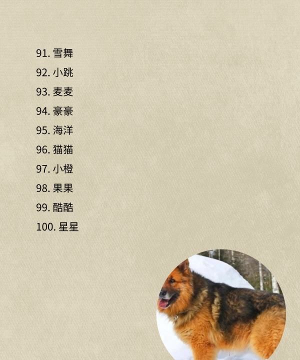 狗狗名字大全一对,00个好听到爆的狗狗名字图8