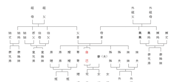 直系后代是什么意思,一下直系、旁系、嫡系是什么意思图4