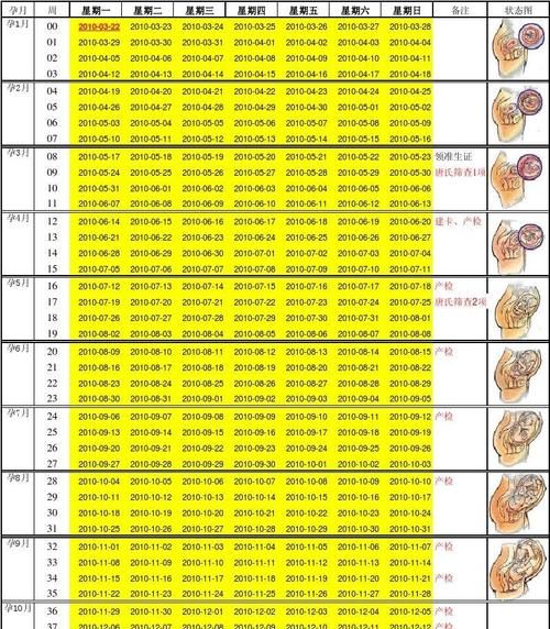 如何算预产期准确时间,怀孕预产期怎么算最准图7