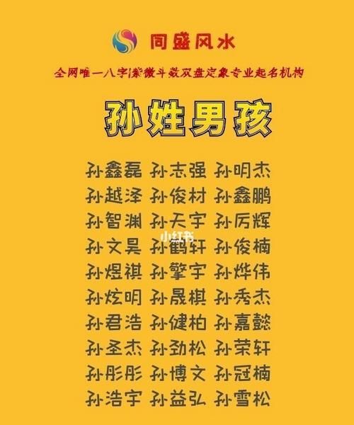 孙姓宝宝起名字大全,孙姓宝宝起名大全免费取名图5