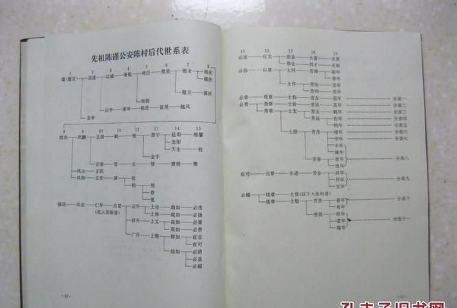 陈姓家谱辈分查询,陈姓辈分排名表图1