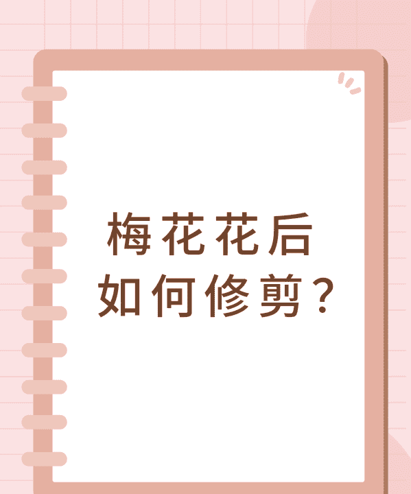 梅花修剪时间和方法，梅花修剪时间是什么时候图1