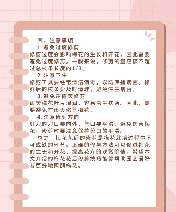 梅花修剪时间和方法，梅花修剪时间是什么时候图5