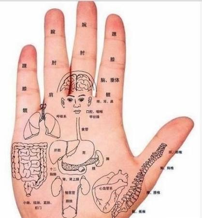 五个手指代表哪五脏,五指对应五脏