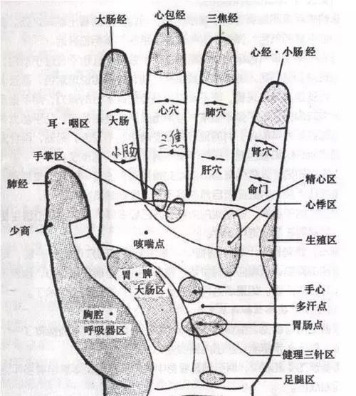 五个手指代表哪五脏,五指对应五脏图2