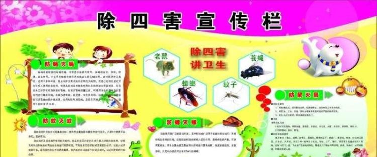 除四害讲卫生四害是什么四害,除四害是哪四害图2