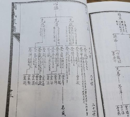 胡姓家谱辈分08字辈,山东辛氏族谱字辈大全