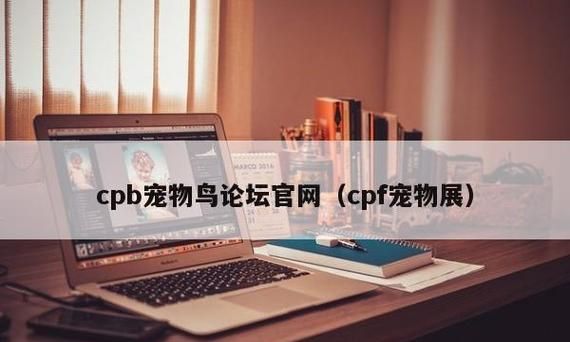 货代CPF是什么意思,cp在外贸术语中是什么意思图4