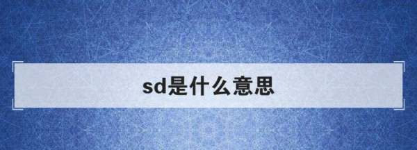 彩超sd是什么意思,sd是什么意思图2