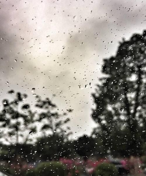 下雨地面上的泡泡怎么来的,为什么雨打到地面积水里会冒泡