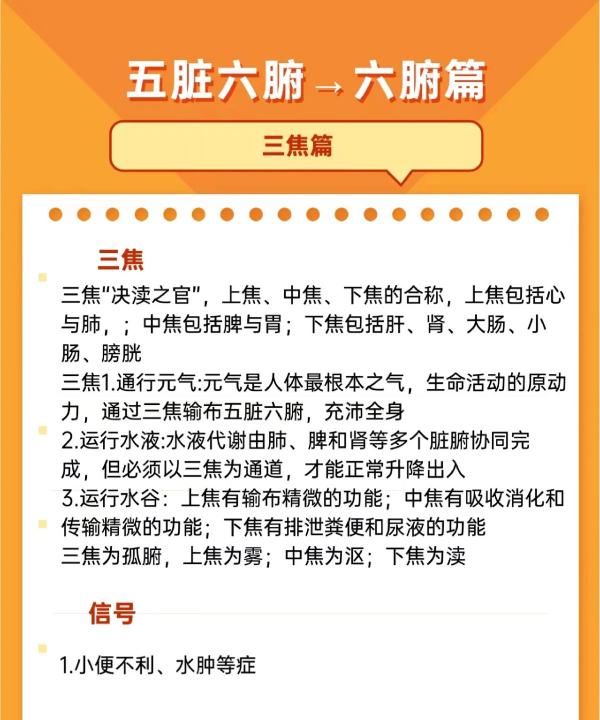 尿清长是什么意思，肾气不固导致的尿频是什么原因引起的图7