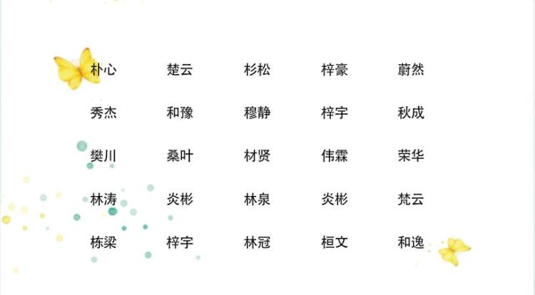 202好听的男孩名字大全,好听稀少的白姓男孩名字图3