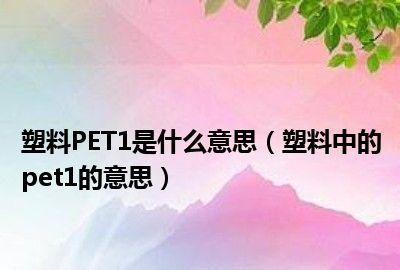 塑料中的pet是什么意思,塑料盒pET是什么意思图5