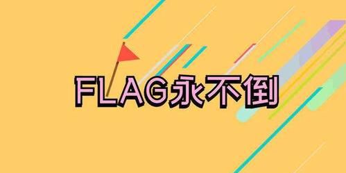 立flag出自哪,立flag是什么意思什么梗图2