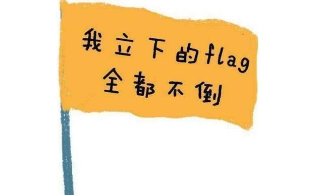 立flag出自哪,立flag是什么意思什么梗图4