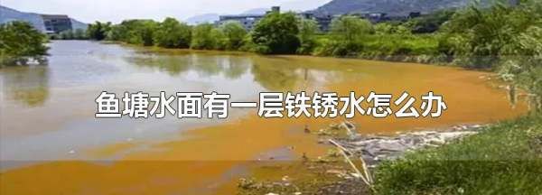 池塘铁锈水怎么处理,池塘铁锈水怎么处理干净图2