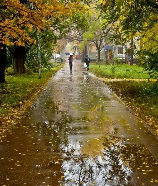 为什么下雨会有泡泡,雨下在地上为什么会有泡泡图3