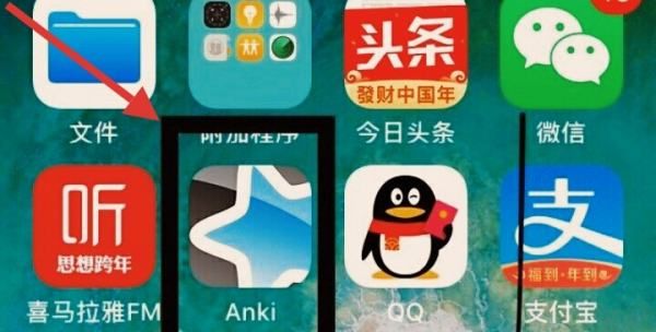 anki手机版怎么导入,iphone的anki使用教程