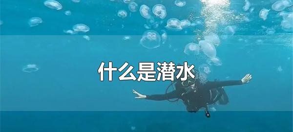 潜水分为哪三种,什么是潜水 地下水只是潜水的解释之一