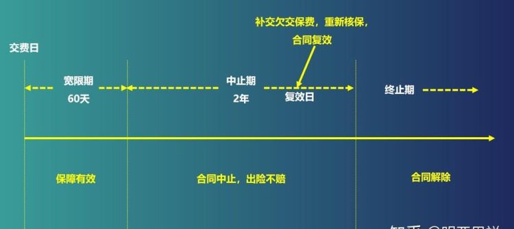 保险合同中止期从哪天开算,保险的等待期是从哪一天开始算的