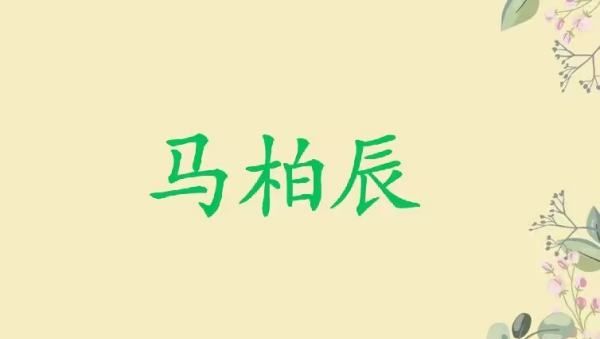 姓氏马取名字大全,姓马的男孩取什么名字好听图4