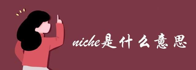 niche是什么,进口汽车什么意思图1