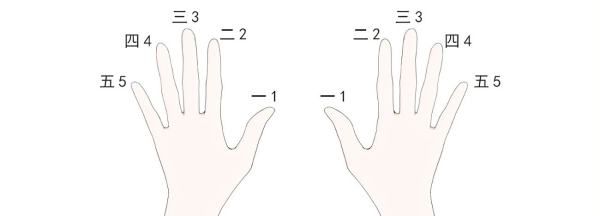 五个手指代表哪五脏，听说五个手指也代表了身上的某些器官图2